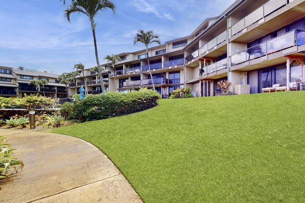 Tranquil Walking Paths Across Expansive Emerald Lawns