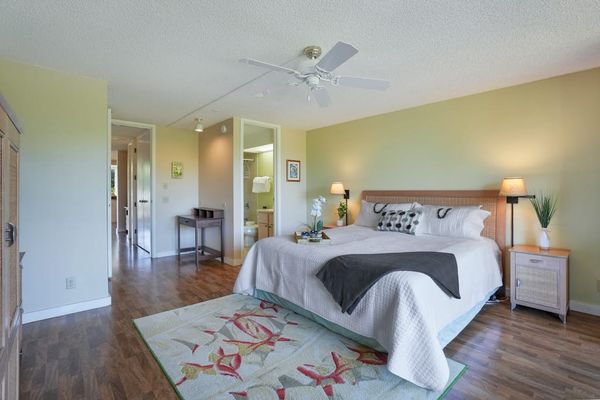 Tranquil Bedroom With Tropical Views