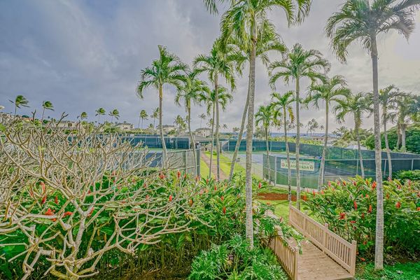 Tennis Court Views Through Tropical Gardens