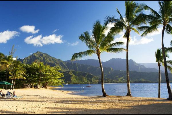Sandy beach features swaying palms, mountain views, and peaceful waters