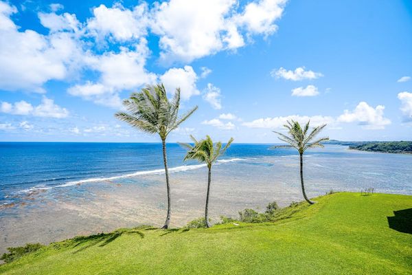 Blue Pacific Ocean views - waves crashing against the sandy beaches and palm trees blowing in the crisp ocean air.