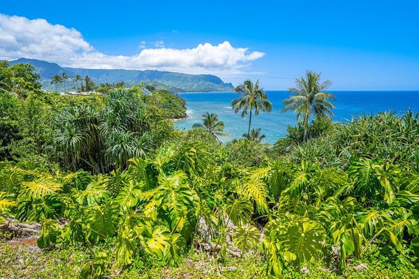 Lush Gardens With Breathtaking Ocean Views