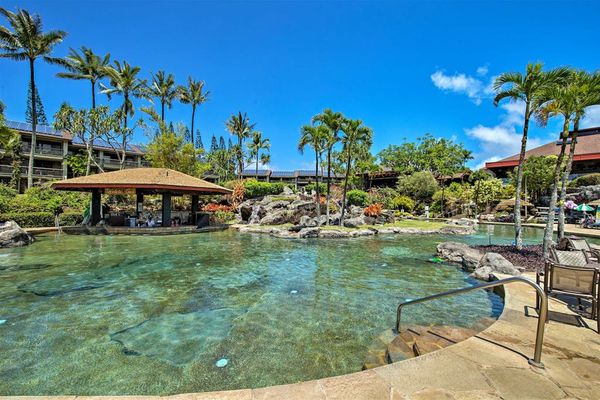 Relax poolside while enjoying peaceful tropical scenery and warm sunshine
