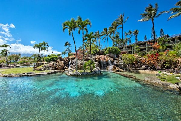 Refresh in the tropical pool surrounded by swaying palms and sunshine