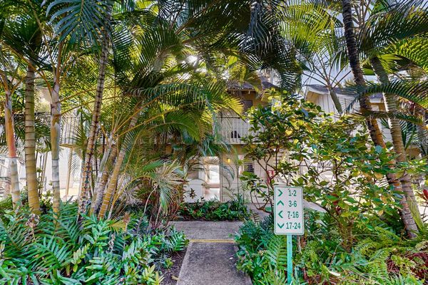 Tropical garden pathway leading to the guest accommodations.