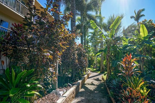Scenic Path Through Tropical Paradise