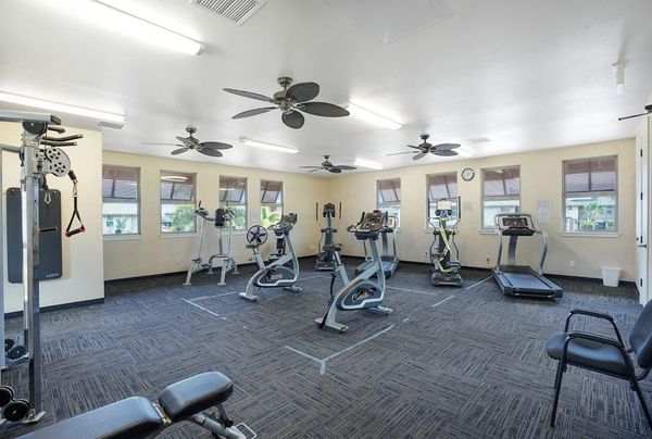 Spacious Gym With Modern Equipment