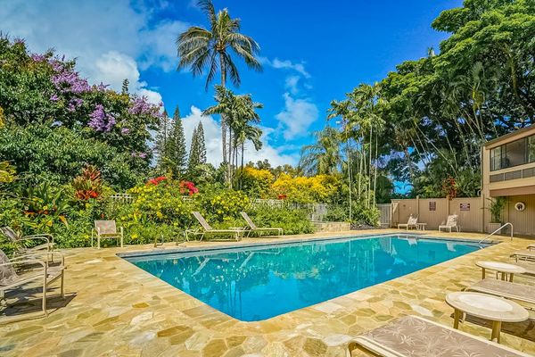 Sparkling Resort Pool Beneath Swaying Palms