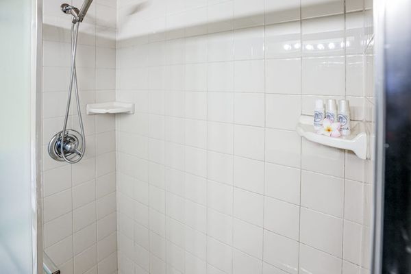 Walk-In Shower With Fresh Finishes