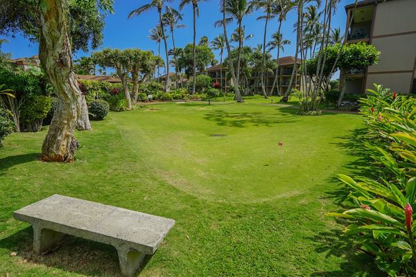 Quiet Garden Lawn With Tropical Landscaping