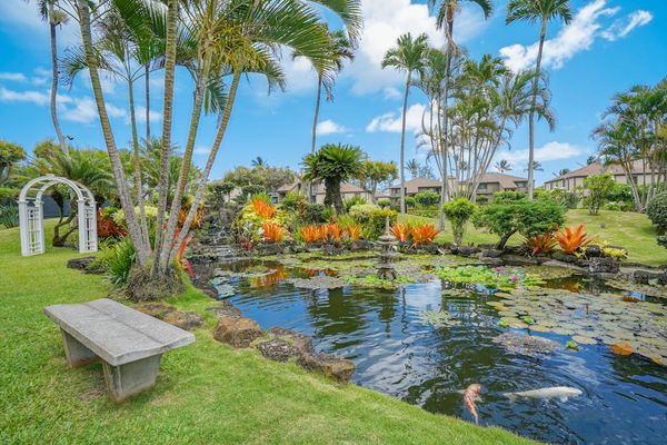 Tropical Garden Pond Surrounded By Flowers