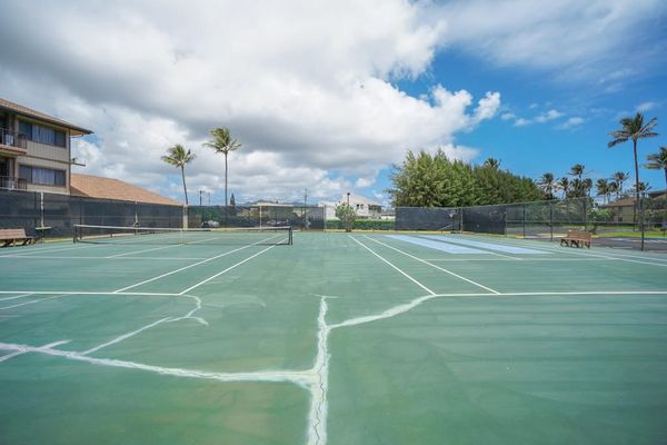 Sunny Tennis Court With Tropical Surroundings