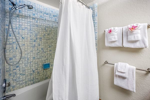 Guest bathroom with tub/shower combo.