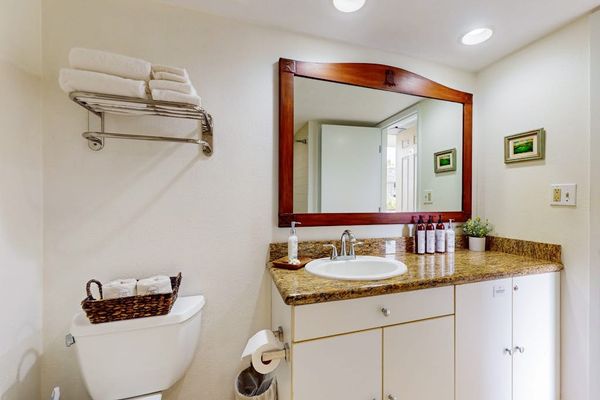 Spa-Inspired Full Bathroom