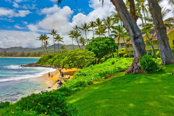 Take in Kauai's dramatic shoreline framed by vibrant tropical landscapes.