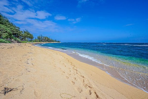 Endless Sandy Beach Waiting To Be Explored