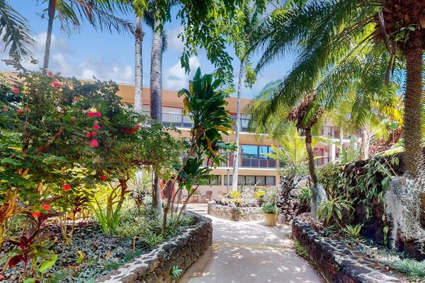 Tropical pathways leading through the resort