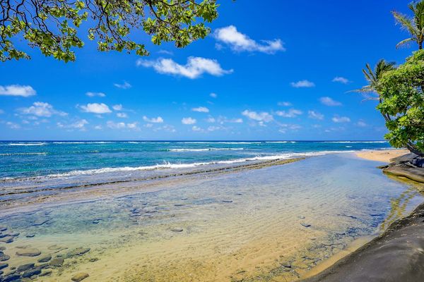 Take in the beauty of the lush tropical Ocean Views