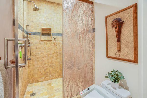 Walk In Shower With Tropical Style
