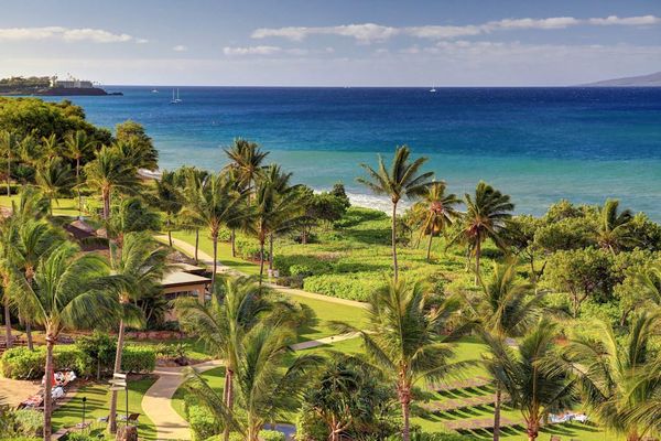 Ocean Views Framed By Palm Trees