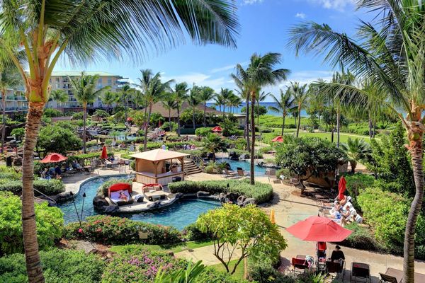 Tropical Pool Escape Beneath The Palms