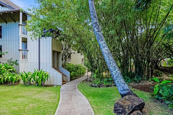 Scenic courtyard path lined with palm trees