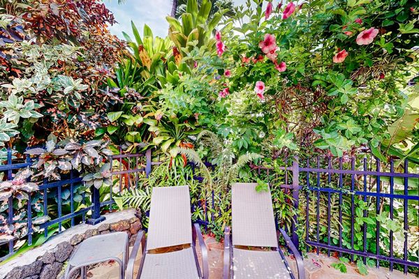 Tropical Lounge Beside The Pool
