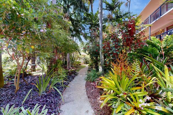 Peaceful Garden Walk Through Paradise