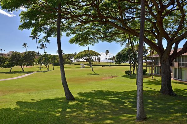 Peaceful Park Like Island Grounds