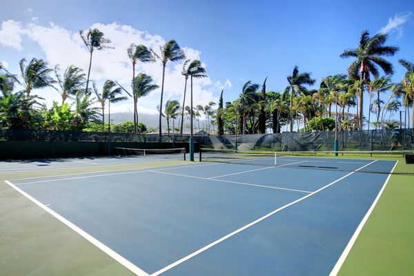 Championship Tennis Courts Beneath The Palms