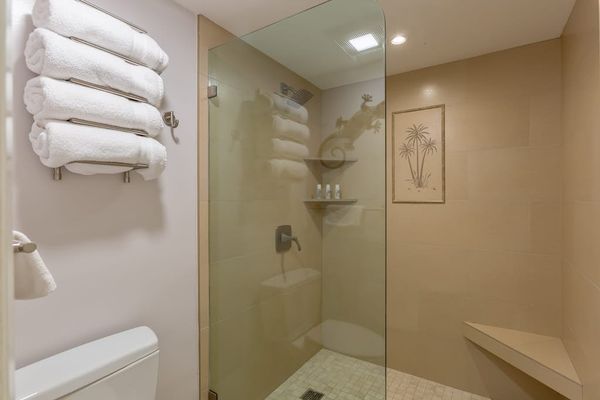 Walk-In Shower With Resort Comfort