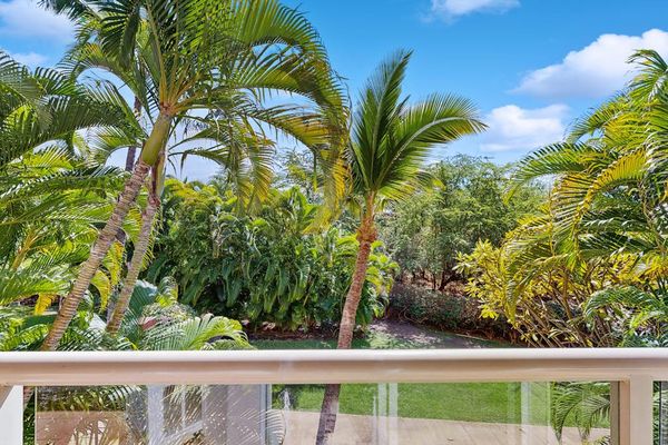 Tropical views from the lanai