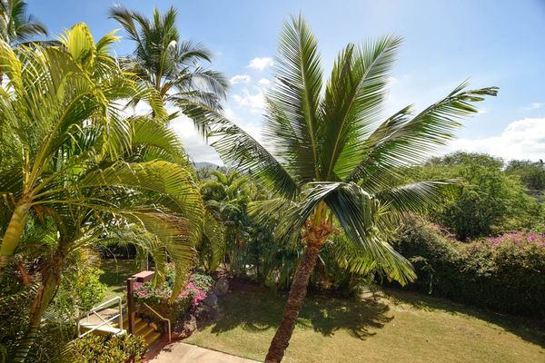 Peaceful tropical garden surrounded by lush palms