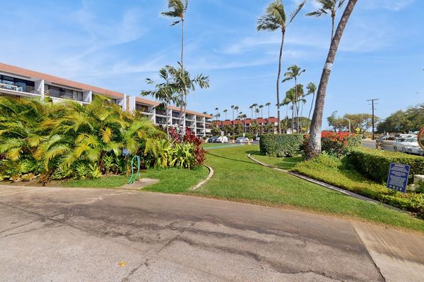 Beautifully Landscaped Resort Grounds & Palm Trees
