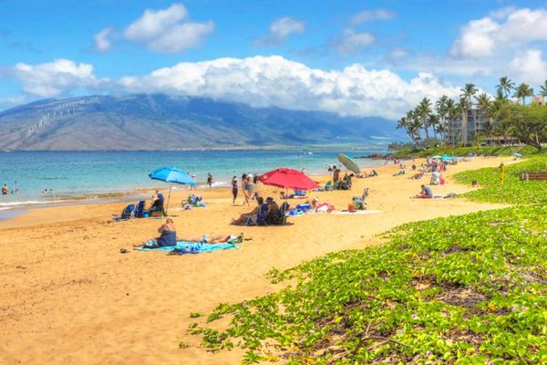Enjoy a sunny beach day with beautiful ocean scenery