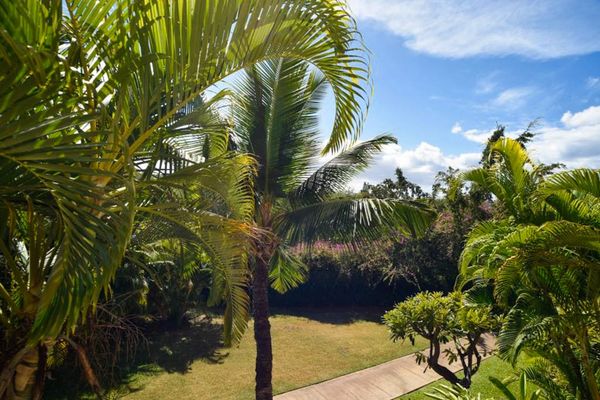 Stroll through beautifully landscaped tropical resort grounds