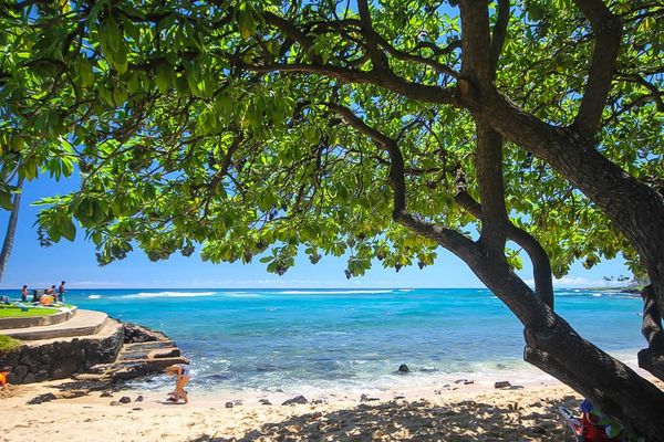 Secluded Beach Beneath Tropical Trees