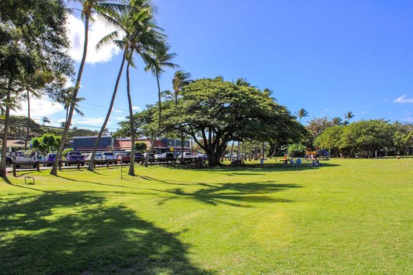 Explore Beautiful Honokōwai Beach Park