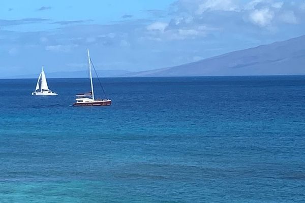 Sail Into Island Paradise