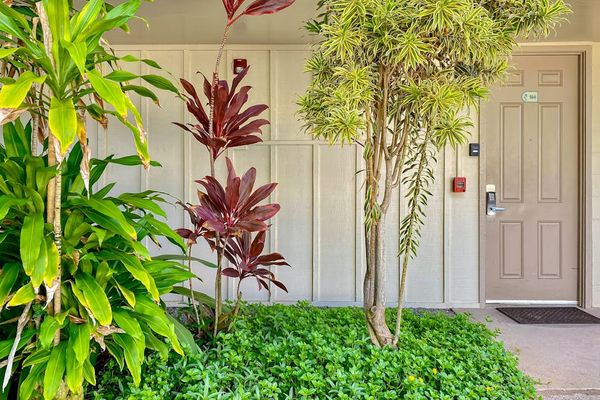 Welcoming entrance surrounded by greenery