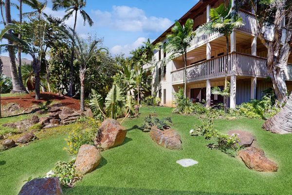 Lush Garden Path To Your Stay