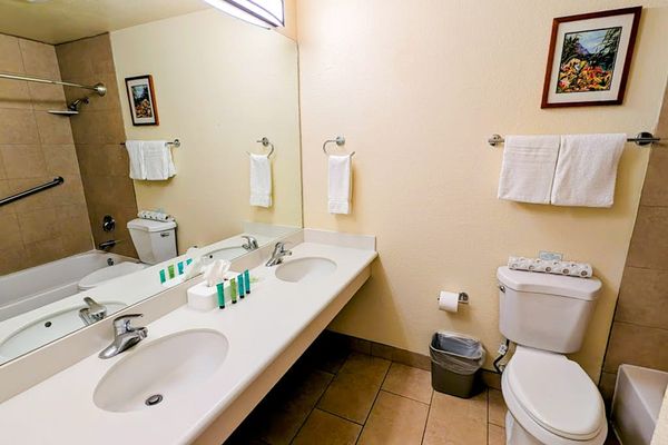Bright full bathroom with a spacious vanity and shower