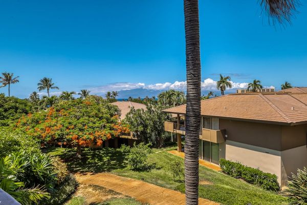 Lush Tropical Views Beyond Your Window