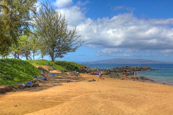 Scenic coastline with sparkling blue ocean views