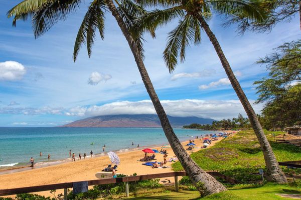 Palm-framed beach view with brilliant blue water