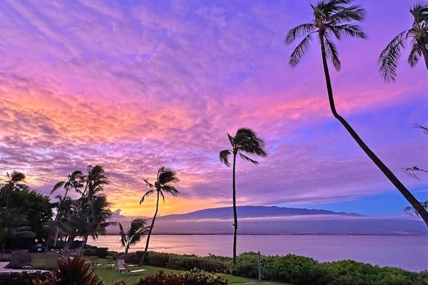 Gorgeous Maui sunsets with palm trees flowing in the breeze.