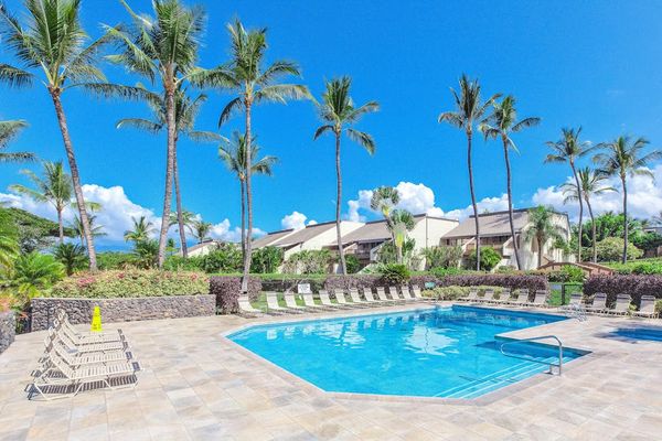 Sparkling Resort Pool Surrounded By Palms
