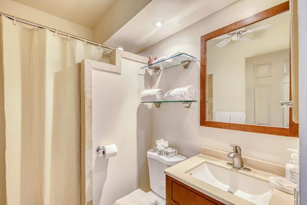 Fresh And Functional Guest Bathroom