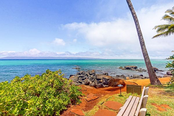 Scenic Coastal Lookout With Endless Blue