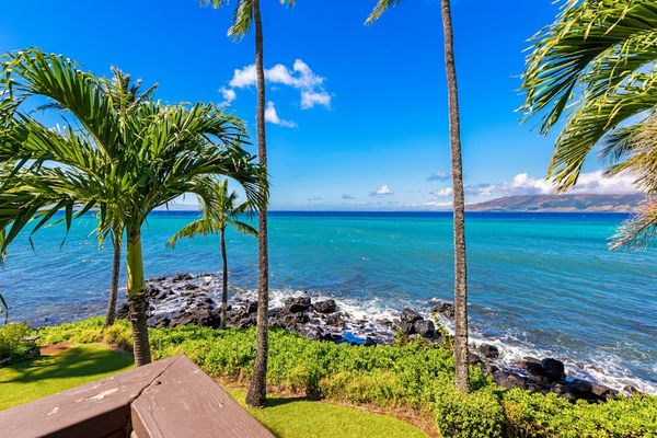 Palm Lined Oceanfront Path